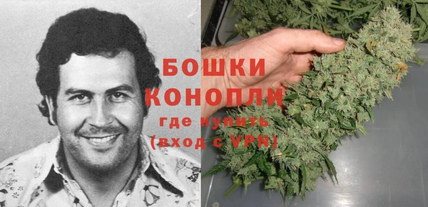 прущие грибы Ладушкин