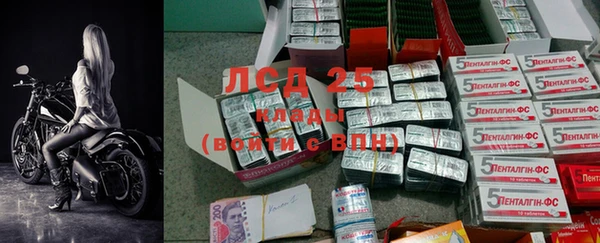прущие грибы Ладушкин