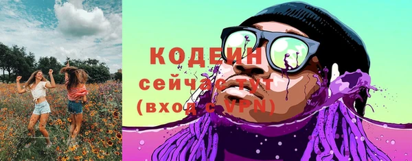 прущие грибы Ладушкин