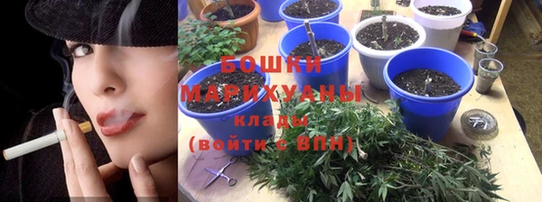 прущие грибы Ладушкин