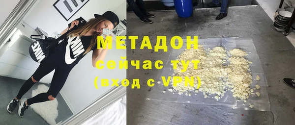 прущие грибы Ладушкин