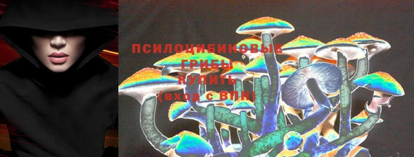 прущие грибы Ладушкин