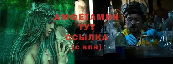 прущие грибы Ладушкин