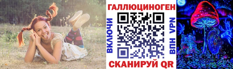 Галлюциногенные грибы Psilocybe Тихорецк