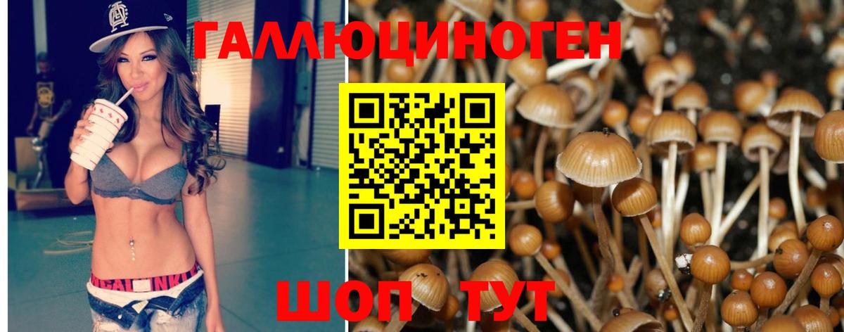 Тихорецк  Галлюциногенные грибы Cubensis  Галлюциногенные грибы Psilocybine cubensis  Вход с VPN 