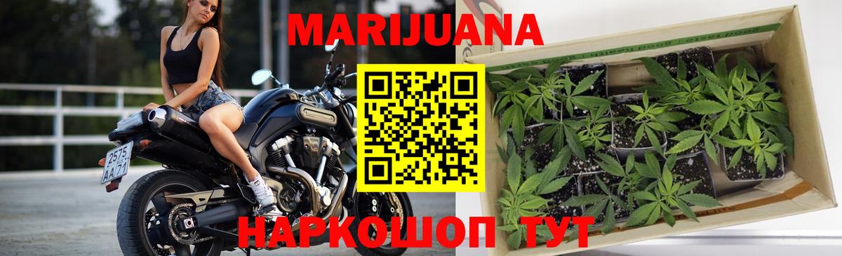 МАРИХУАНА VHQ  Бошки марихуана планчик  Вход с VPN  Тихорецк  Бошки марихуана семена 